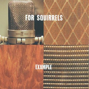 For Squirrels - Example